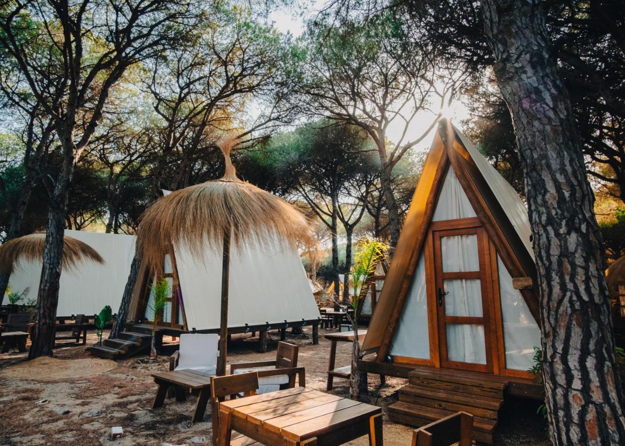 Taiga Conil Otel Conil De La Frontera Dış mekan fotoğraf