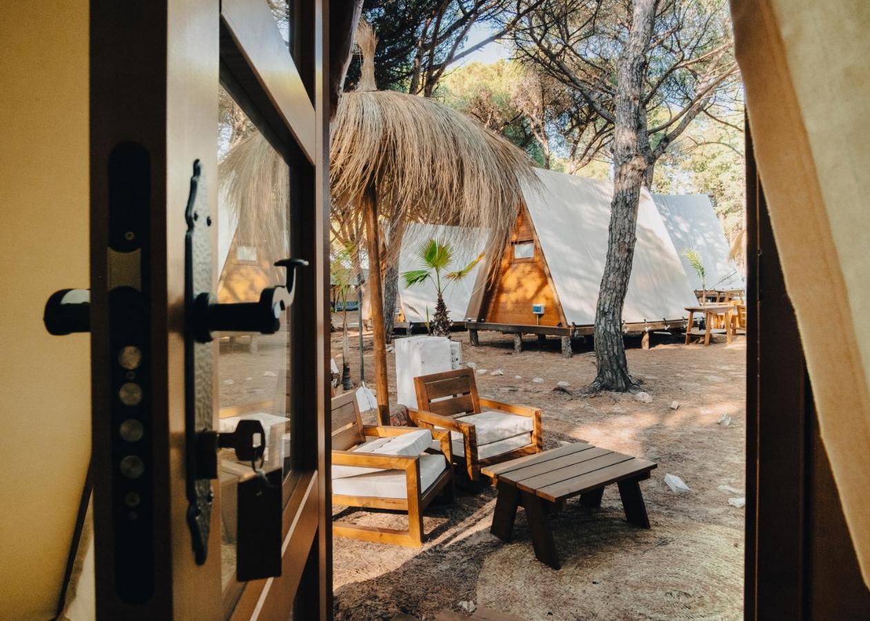 Taiga Conil Otel Conil De La Frontera Dış mekan fotoğraf