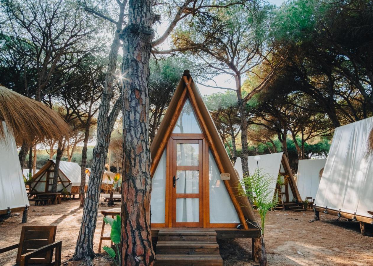 Taiga Conil Otel Conil De La Frontera Dış mekan fotoğraf