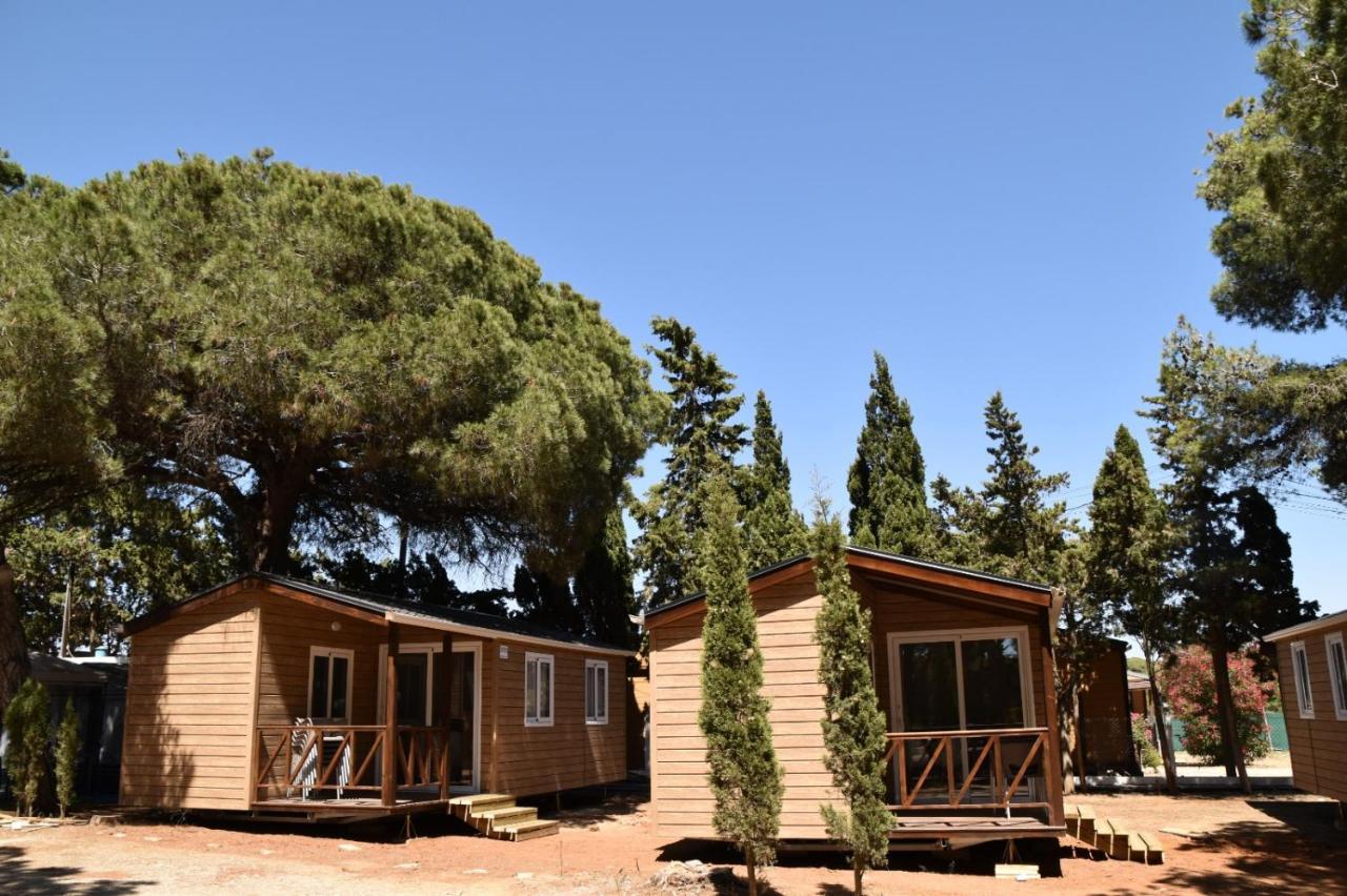 Taiga Conil Otel Conil De La Frontera Dış mekan fotoğraf