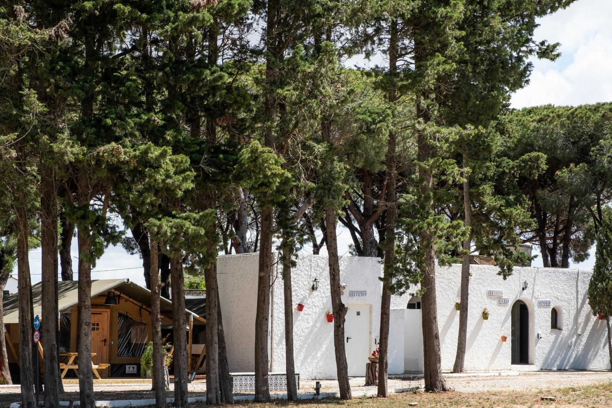 Taiga Conil Otel Conil De La Frontera Dış mekan fotoğraf
