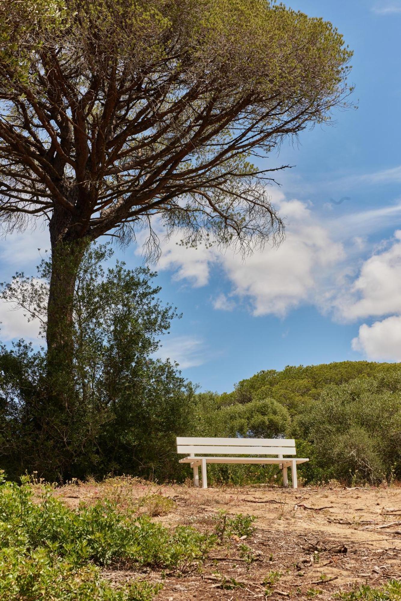 Taiga Conil Otel Conil De La Frontera Dış mekan fotoğraf